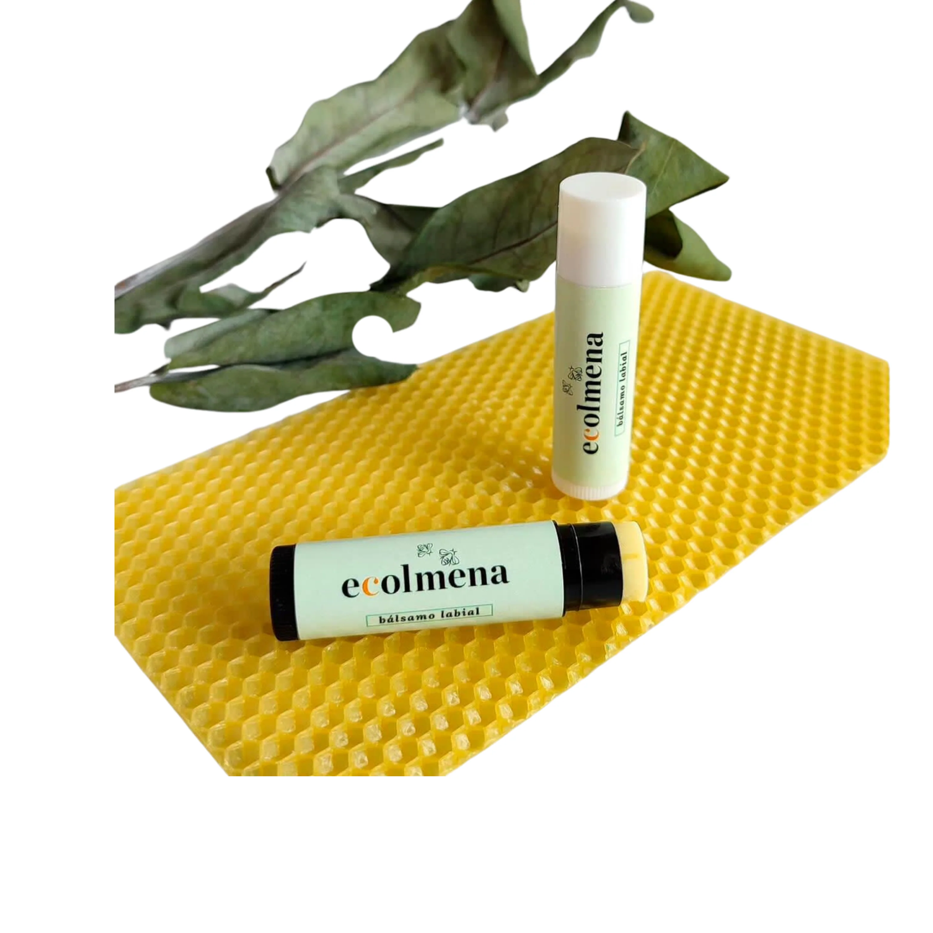 Miniatura 1