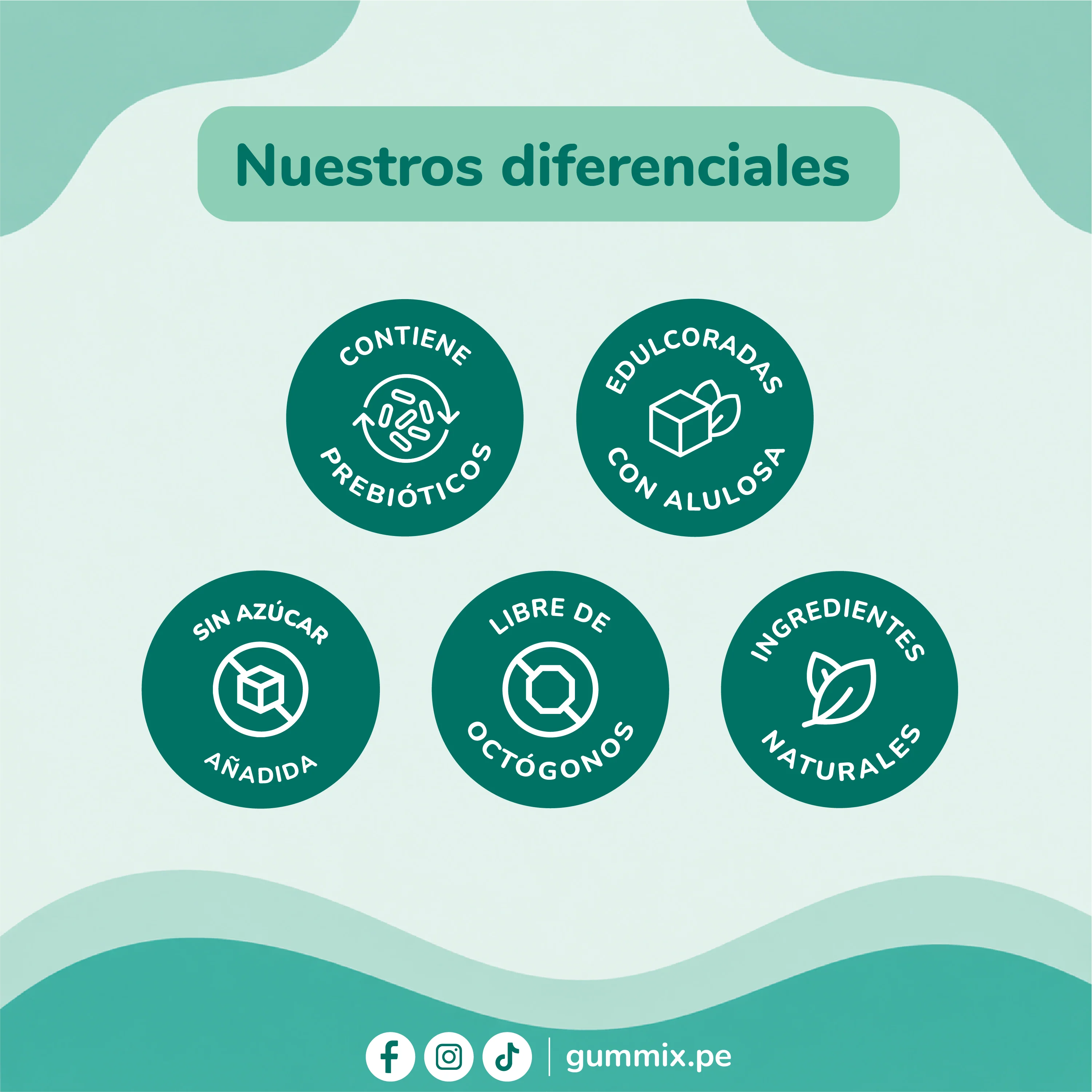 Imagen del producto 4